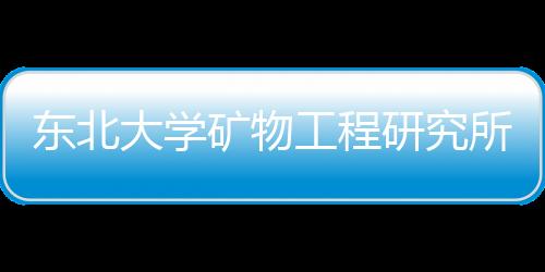 東北大學(xué)礦物工程研究所(關(guān)于東北大學(xué)礦物工程研究所簡述)