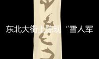 東北大街上驚現“雪人軍團” ，共500個，網友：全軍出擊