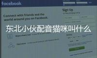 東北小伙配音貓咪叫什么(東北配音動物)