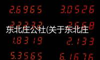 東北莊公社(關于東北莊公社簡述)