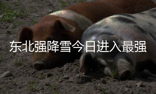 東北強(qiáng)降雪今日進(jìn)入最強(qiáng)時段 南北方大面積氣溫創(chuàng)新低