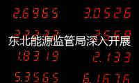 東北能源監(jiān)管局深入開展12398熱線申訴處理工作