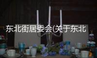 東北街居委會(關于東北街居委會簡述)
