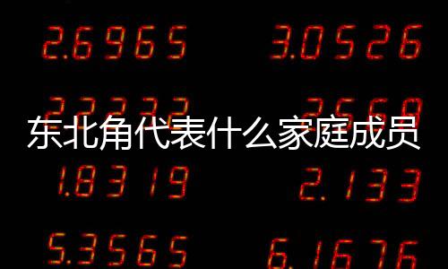 東北角代表什么家庭成員（東北角）