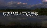 東農(nóng)36號大豆(關(guān)于東農(nóng)36號大豆簡述)