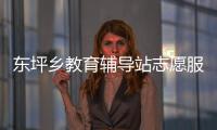 東坪鄉教育輔導站志愿服務團隊(關于東坪鄉教育輔導站志愿服務團隊簡述)