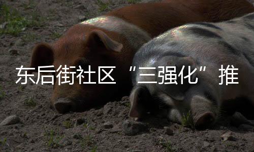 東后街社區“三強化”推進社區居務監督工作_