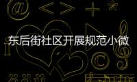 東后街社區(qū)開展規(guī)范小微權(quán)力運行情況自查_