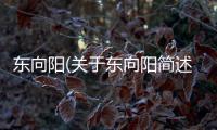 東向陽(關于東向陽簡述)