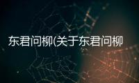 東君問柳(關(guān)于東君問柳簡述)
