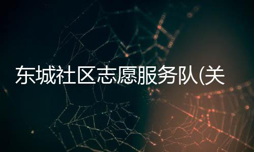 東城社區志愿服務隊(關于東城社區志愿服務隊簡述)