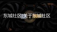 東城社區(關于東城社區簡述)