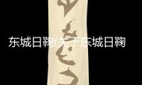東城日鞠(關(guān)于東城日鞠簡(jiǎn)述)