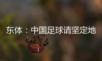 東體：中國足球請堅定地走出去 武磊為年輕人樹立標桿