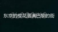 東京的櫻花落滿巴黎的街頭(關于東京的櫻花落滿巴黎的街頭簡述)