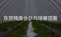 東京殘奧會乒乓球單項賽結束，中國奪8冠