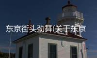 東京街頭勁舞(關(guān)于東京街頭勁舞簡述)