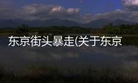 東京街頭暴走(關(guān)于東京街頭暴走簡述)