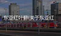 東亞紅葉蘚(關(guān)于東亞紅葉蘚簡述)