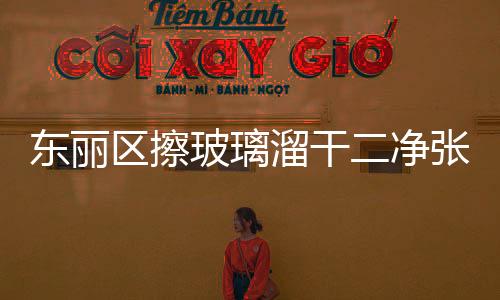 東麗區擦玻璃溜干二凈張貴莊、華明鎮、利津路清潔做衛生