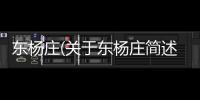 東楊莊(關(guān)于東楊莊簡(jiǎn)述)