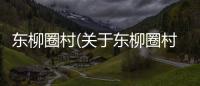 東柳圈村(關(guān)于東柳圈村簡述)