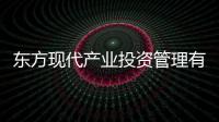東方現代產業投資管理有限公司(關于東方現代產業投資管理有限公司簡述)