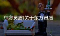 東方靈盾(關于東方靈盾簡述)