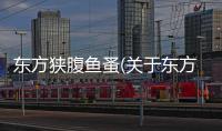 東方狹腹魚蚤(關于東方狹腹魚蚤簡述)