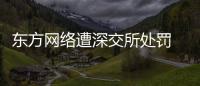 東方網(wǎng)絡(luò)遭深交所處罰 利潤分配方案爽約