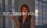 東方口袋戰爭EVO(關于東方口袋戰爭EVO簡述)