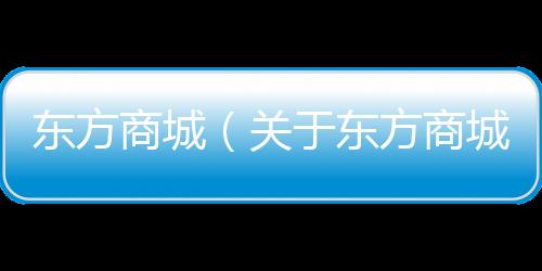 東方商城（關于東方商城的基本情況說明介紹）