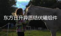 東方日升異質結伏曦組件斬獲PV Magazine 2023年度大獎