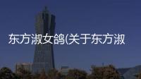 東方淑女鴿(關于東方淑女鴿簡述)