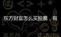 東方財富怎么買股票，有沒有指導教一下的