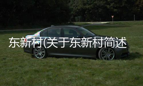 東新村(關(guān)于東新村簡述)