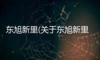 東旭新里(關于東旭新里簡述)