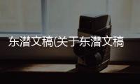 東潛文稿(關(guān)于東潛文稿簡述)