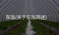 東泓(關(guān)于東泓簡述)