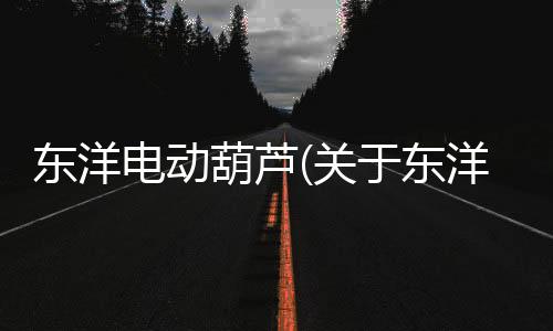 東洋電動葫蘆(關于東洋電動葫蘆簡述)