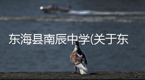 東海縣南辰中學(xué)(關(guān)于東海縣南辰中學(xué)簡述)