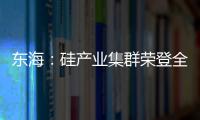 東海：硅產業集群榮登全國百佳榜,市場研究