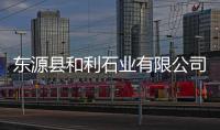 東源縣和利石業有限公司(關于東源縣和利石業有限公司簡述)