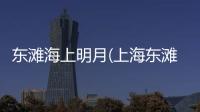 東灘海上明月(上海東灘海上明月)東灘海上明月樓盤詳情