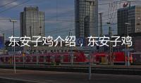 東安子雞介紹，東安子雞的做法