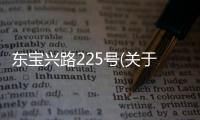 東寶興路225號(關(guān)于東寶興路225號簡述)