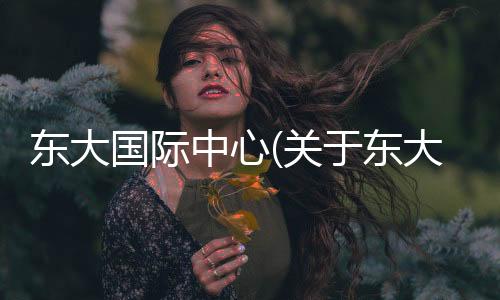 東大國際中心(關于東大國際中心簡述)