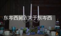 東岑西舅2(關于東岑西舅2簡述)