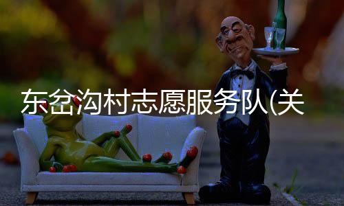 東岔溝村志愿服務(wù)隊(duì)(關(guān)于東岔溝村志愿服務(wù)隊(duì)簡述)