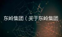 東嶺集團（關于東嶺集團的基本情況說明介紹）